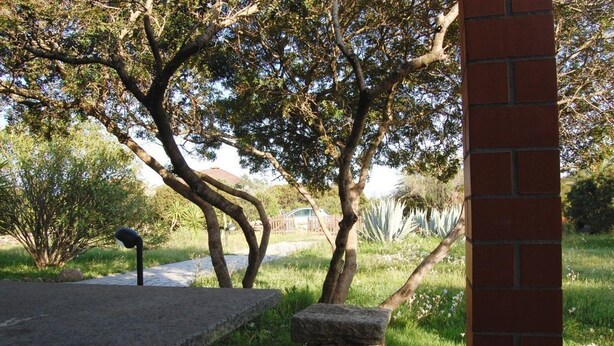Un banco de piedra, un pilar de ladrillo y un camino bordeado de árboles en un parque.