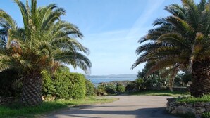 Carretera pavimentada bordeada por palmeras y follaje, que conduce a una vista costera.