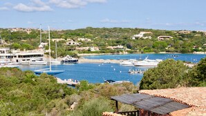 A coastal marina with multiple yachts docked, surrounded by lush greenery and residential buildings.