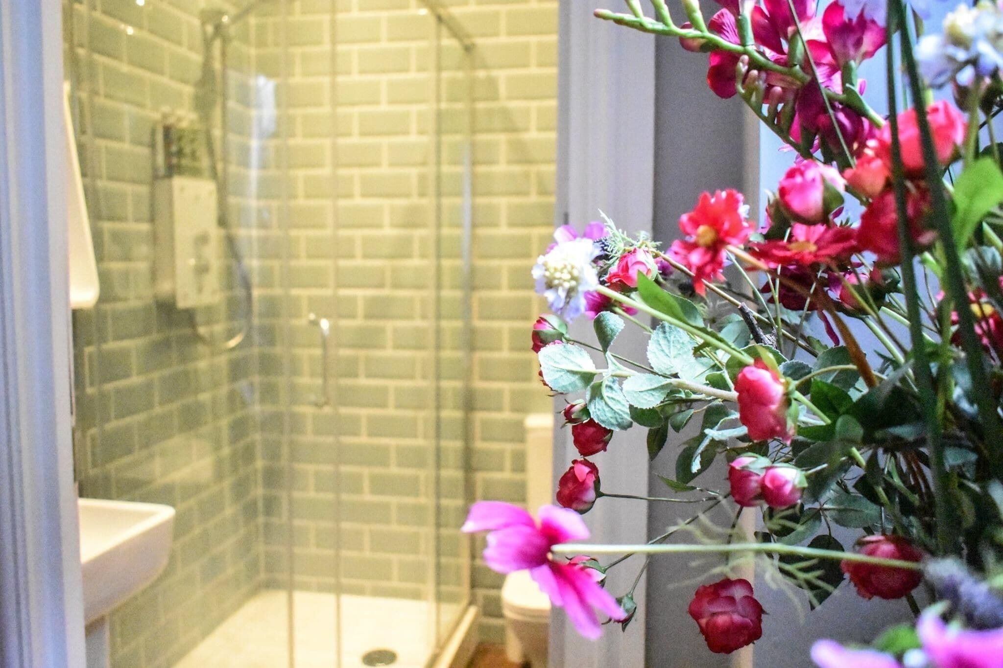 Shower, free toiletries, towels