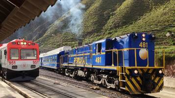 Una andana d'estació de tren amb dos trens, un vermell i un blau, on es pot veure el número 481 al tren blau.