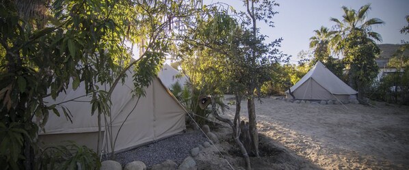 Two tents set up in a sandy area with trees and a building in the background.