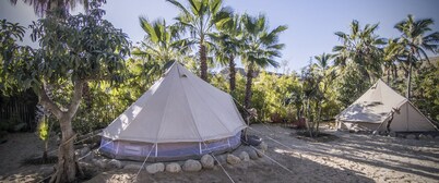 Todos Santos Hostel