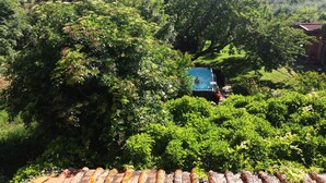 Ein Pool auf dem Dach, umgeben von üppiger Vegetation und einer Bergkulisse.