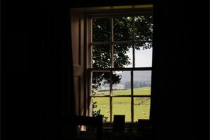 Utsikt mot trädgården