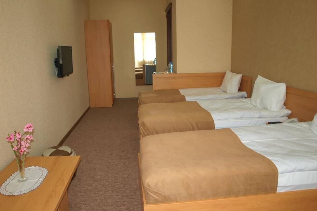 A hotel room with two single beds, a wooden nightstand with a vase of flowers, a television mounted on the wall, and a mirror above the bed.