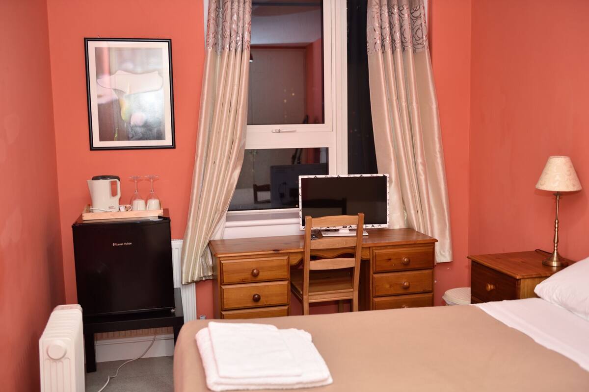 Une chambre d’hôtel avec un lit, un bureau avec un ordinateur, un radiateur, une télévision, une lampe et un tableau encadré au mur.