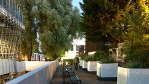 Un chemin bordé de bancs et d’arbres, qui mène à un bâtiment sur lequel est installée une échafaudage.