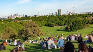 Un parc où l’on voit des gens assis sur l’herbe, des arbres et, au loin, le profil de la ville.