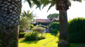 Ein gepflegter Garten mit Palmen, einem Steinweg und einem Haus mit Ziegeldach.