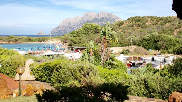 A marina with boats, a mountain in the background, and lush greenery. - Villa Sara (Olbia)