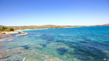 Vista da propriedade