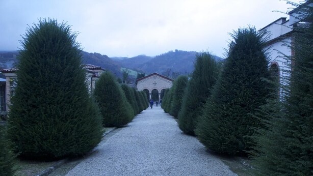 A gravel pathway flanked by neatly trimmed coniferous trees leading to a building with a cross at the entrance. - B&B Il Prato (Predappio)
