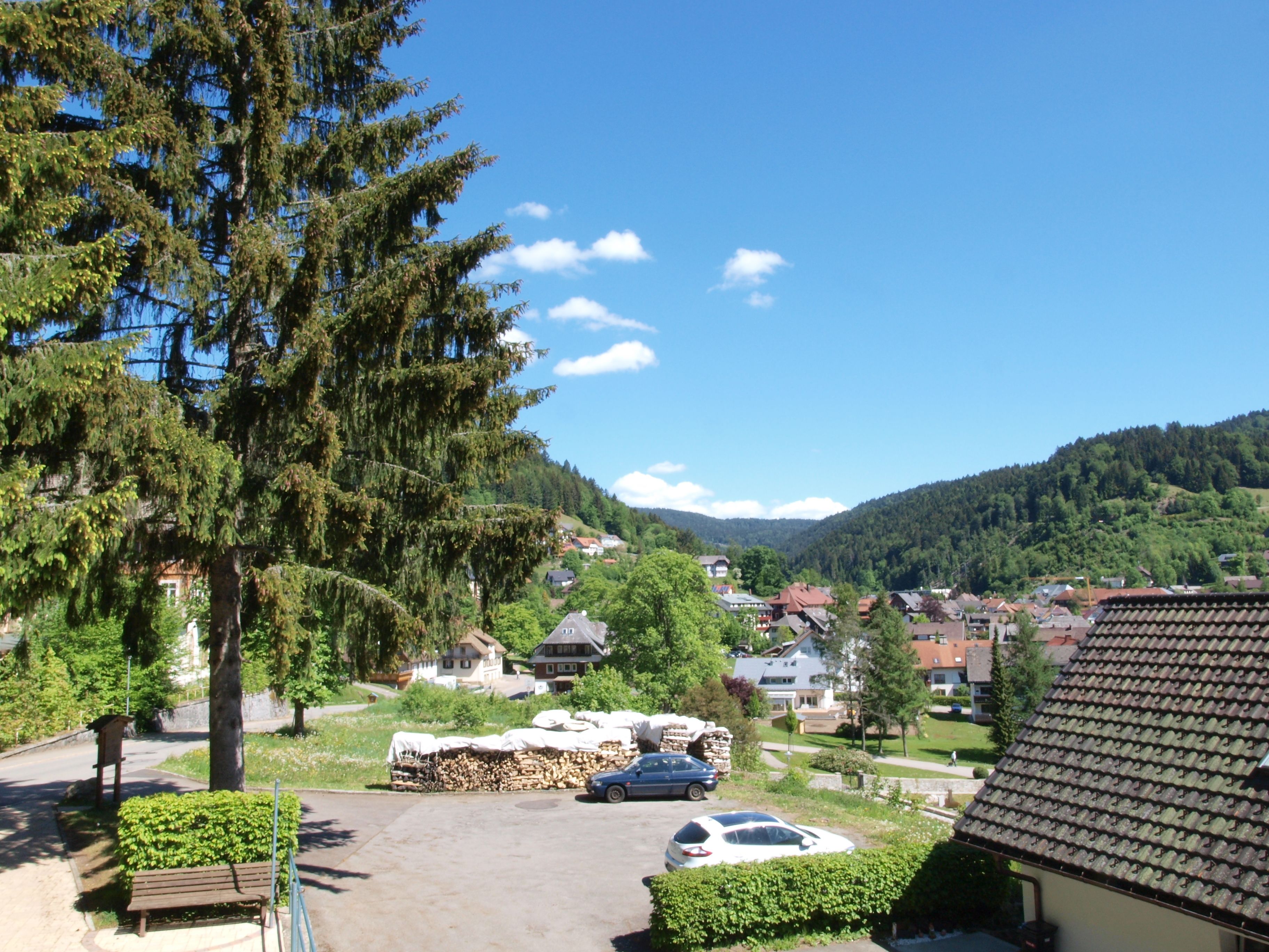 A residential area with houses, a large tree, and a clear blue sky.