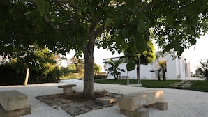 A tree-lined outdoor area with a stone bench and a small table, surrounded by gravel.
