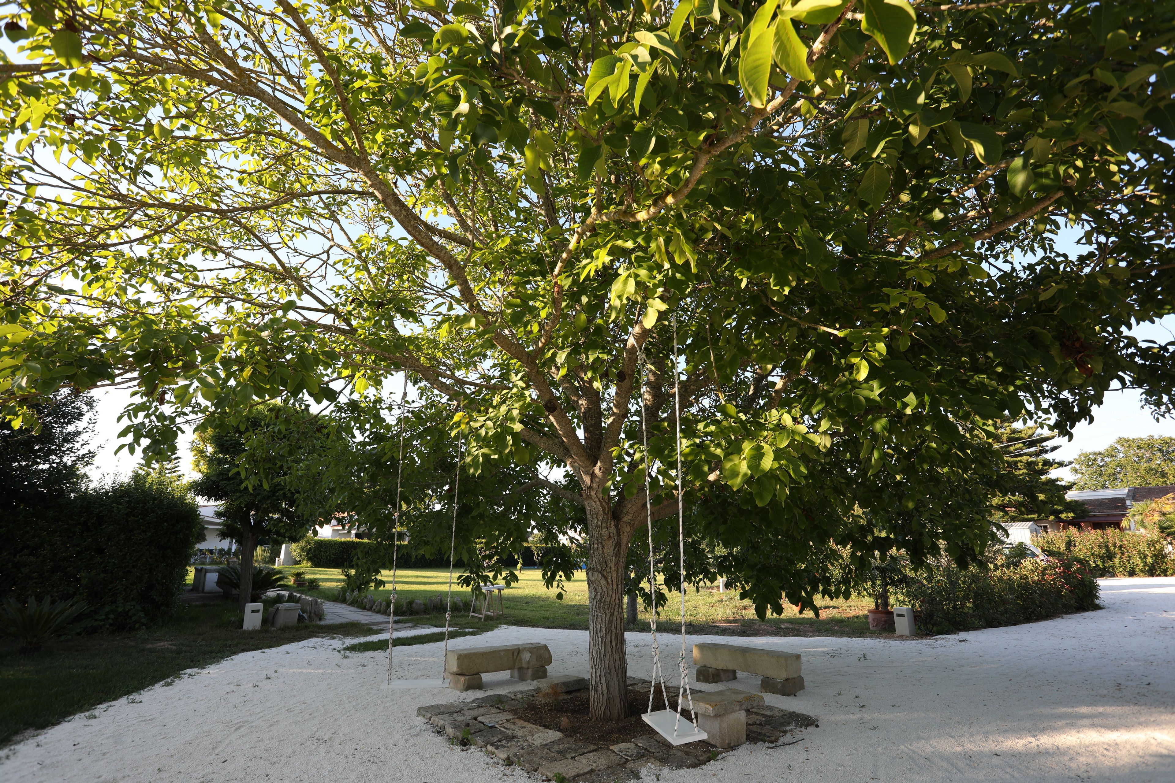 Un arbre équipé de balançoires, de bancs et bordé d’un chemin de gravier, le tout situé dans un espace aménagé.