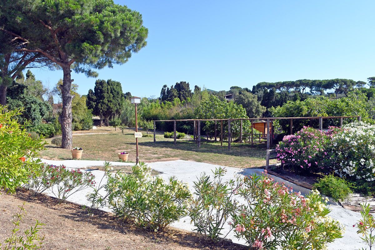 A garden with a pergola, potted plants, and a variety of trees.