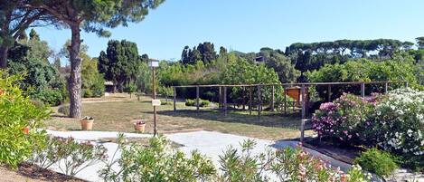 A garden with a pergola, potted plants, and a variety of trees.