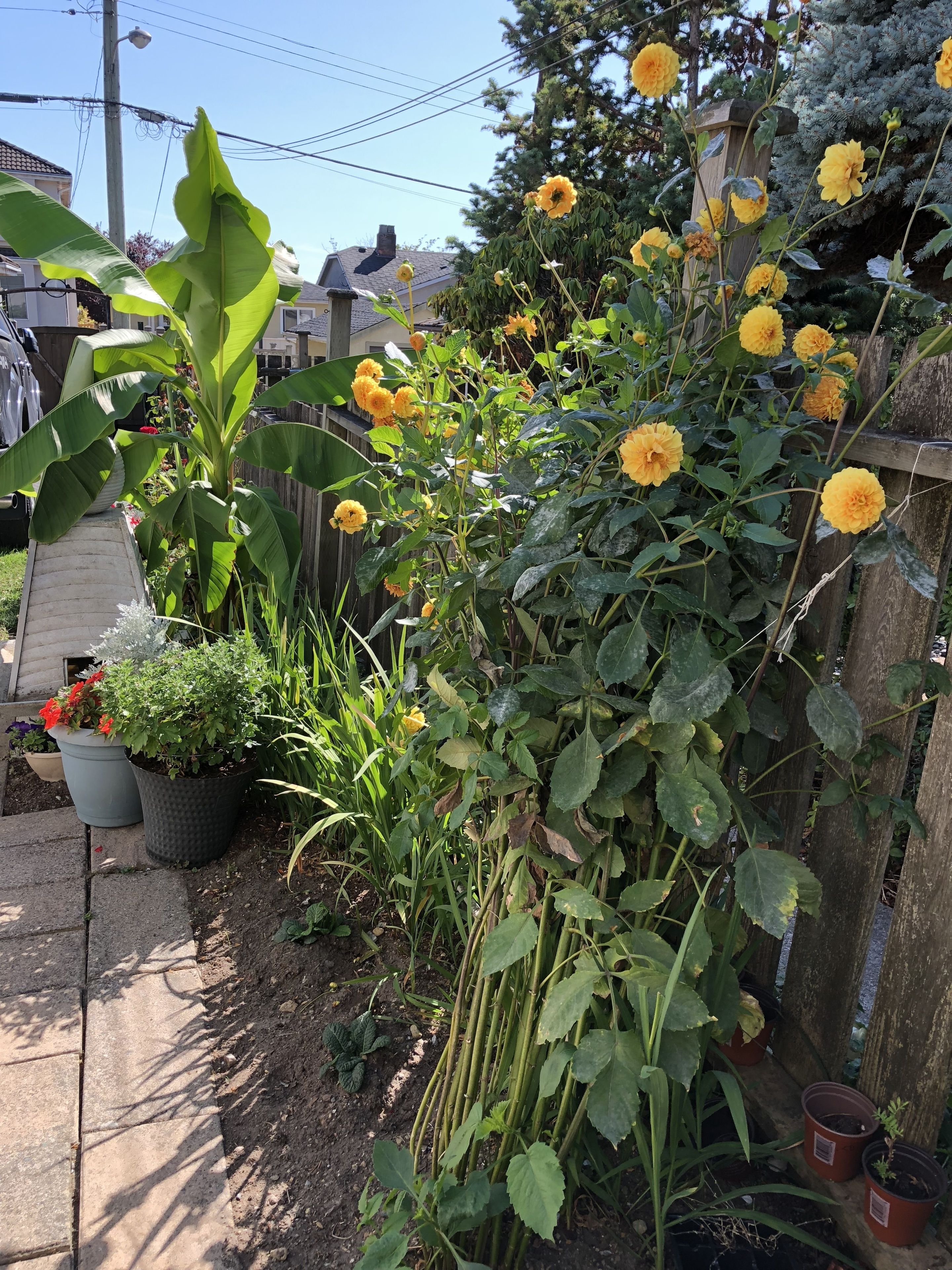 Foto - Cozy Bedrooms Guest House