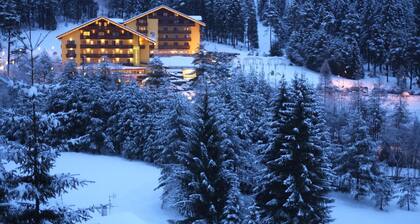 Family & Wellness Hotel Shandranj