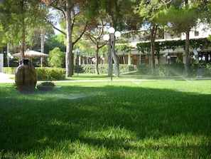 Jardim