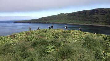 إطلالة على البحر/الشاطئ