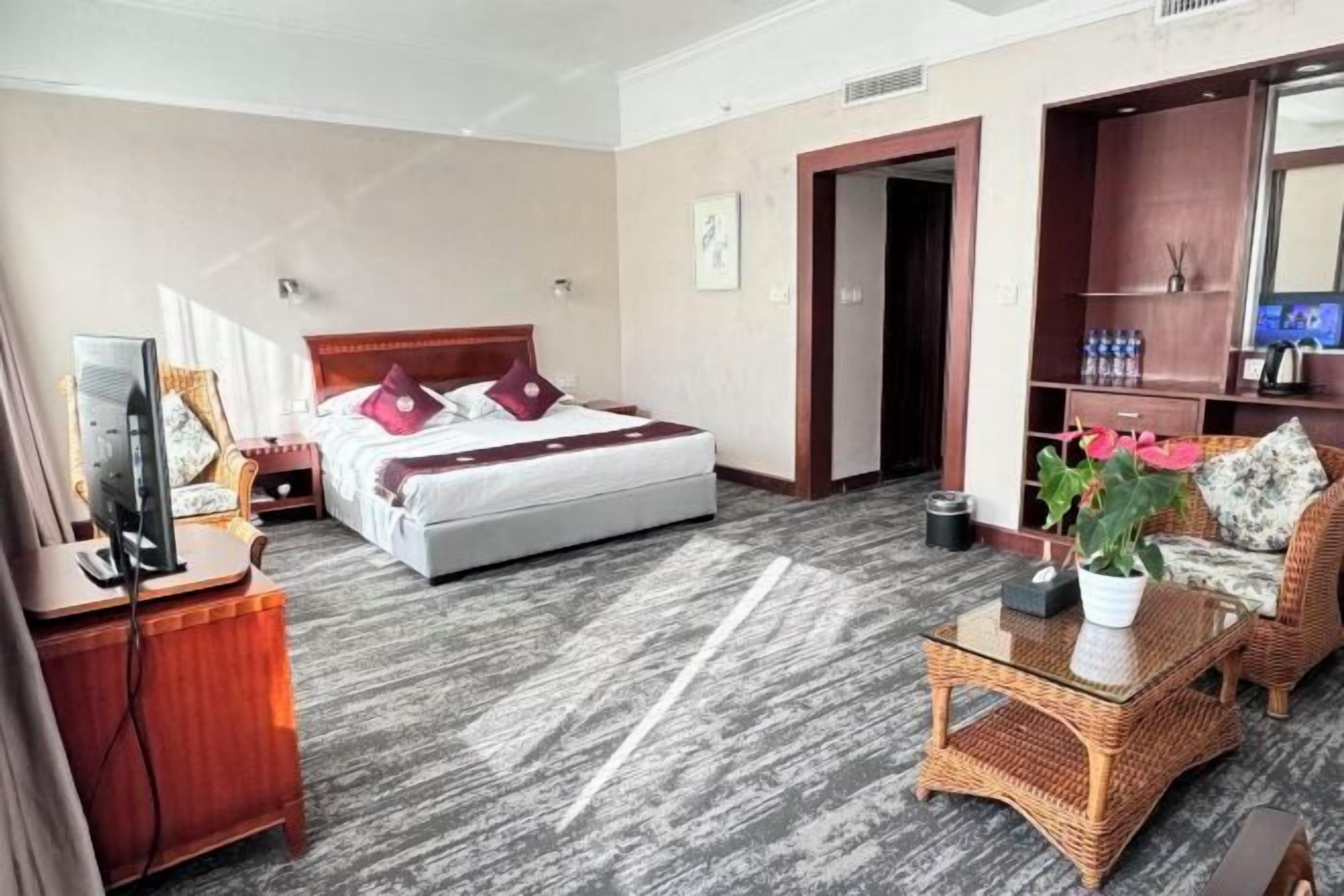 A hotel room with a bed, a television, a desk, a chair, and a small table with a plant.