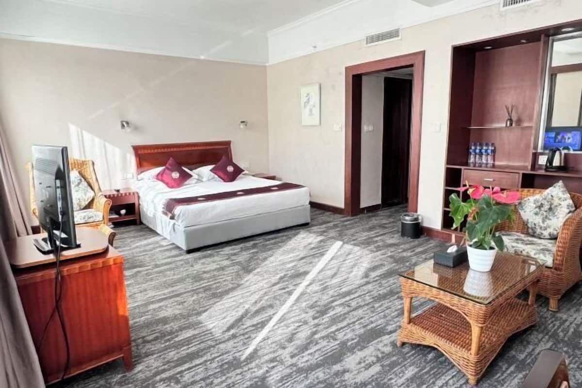 Ein Hotelzimmer mit einem Bett, einem Fernseher, einem Schreibtisch, einem Stuhl und einem kleinen Tisch mit einer Pflanze.