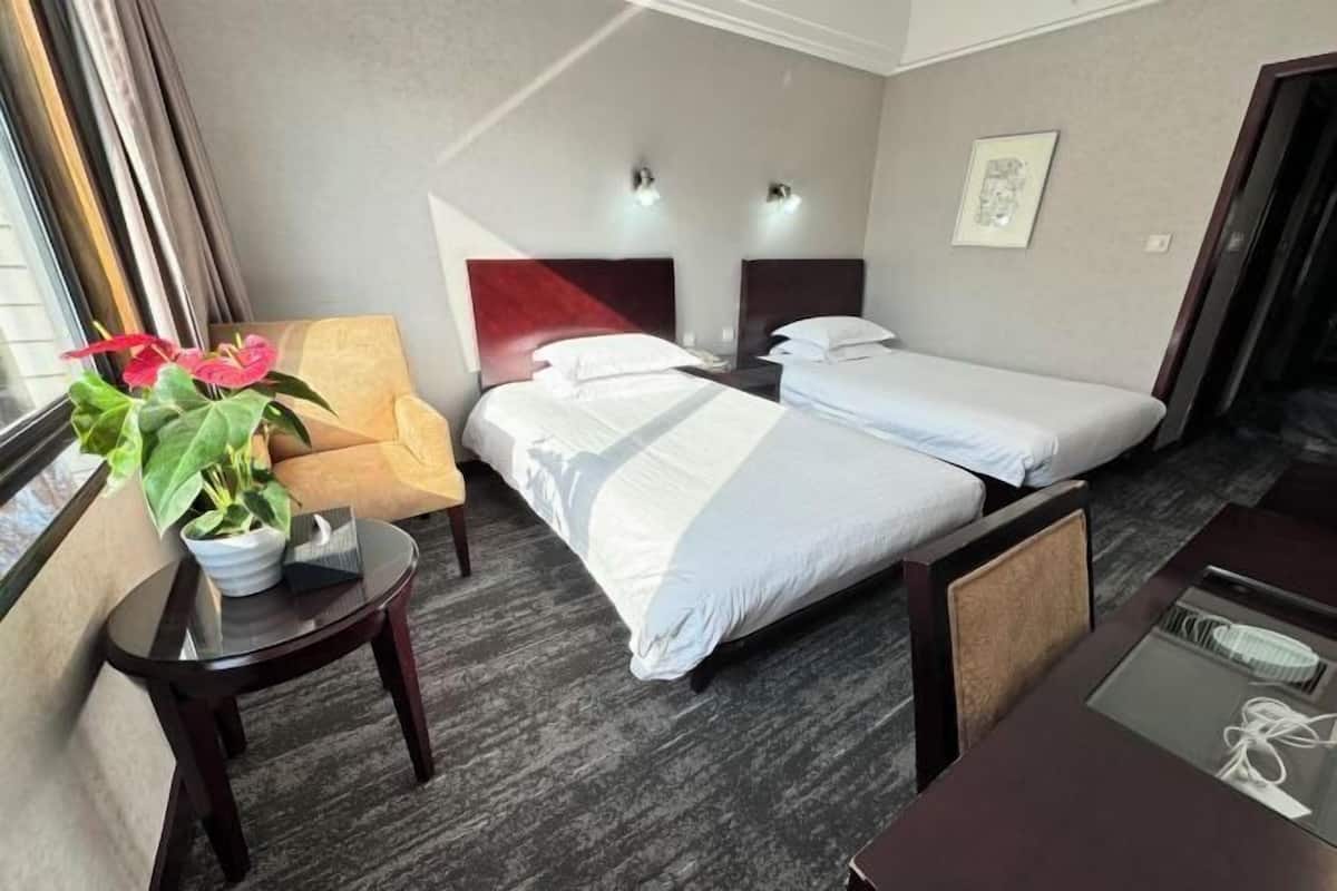 Ein Hotelzimmer mit zwei Betten, einem Sessel, einem kleinen Tisch und einem Blumentopf.