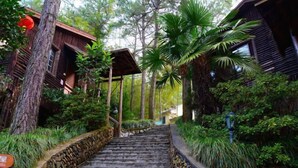 A stone staircase leading to a wooden building surrounded by lush greenery and palm trees. - Ningguo Wooden Villa of the World (Ningguo)
