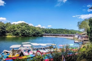 A lakeside view with boats docked, a bridge, and lush greenery.