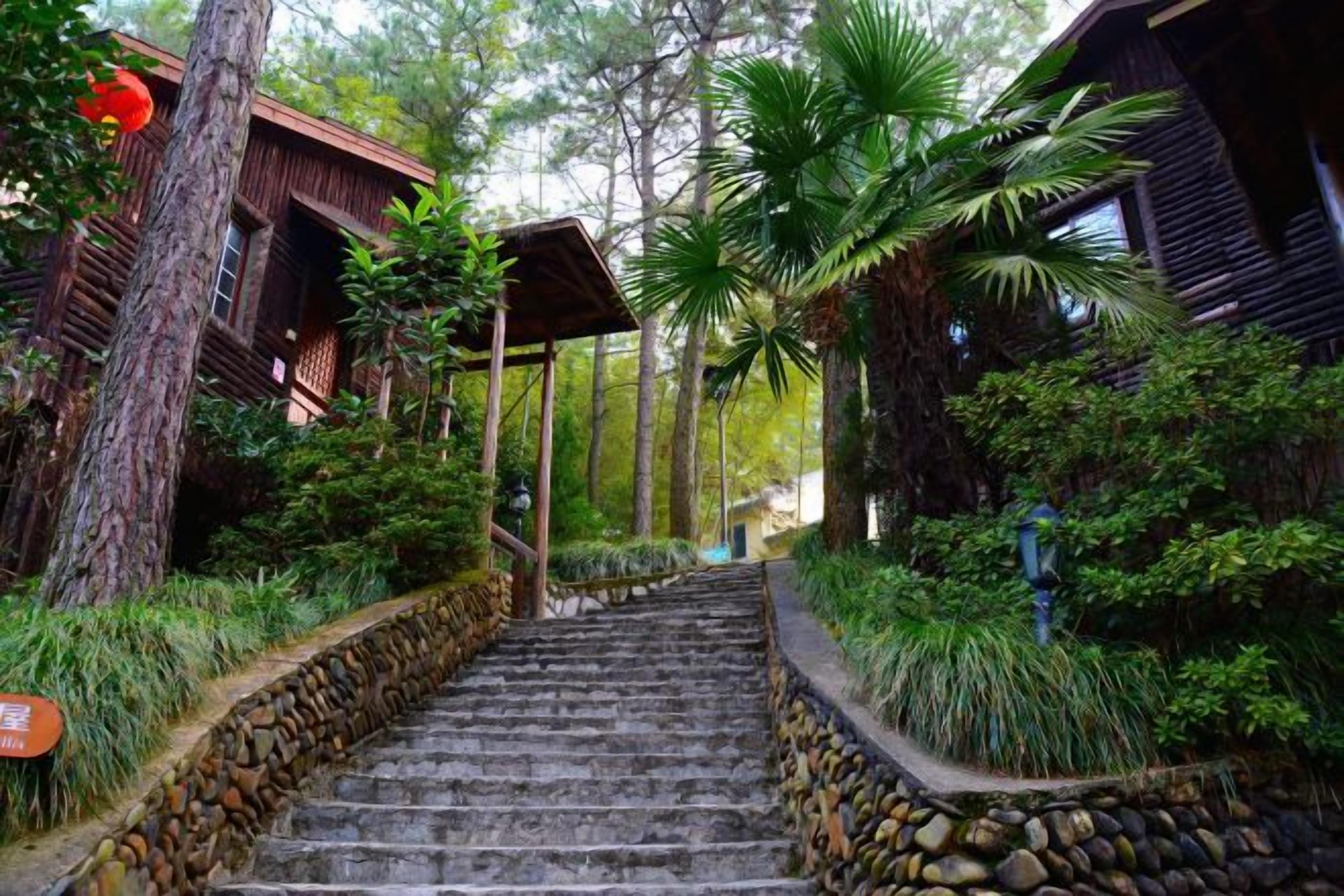 Un escalier en pierre mène à un bâtiment en bois, lui-même entouré d’une végétation luxuriante.