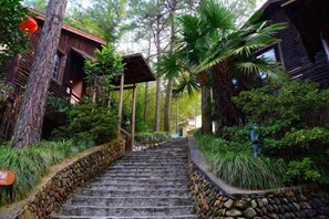A stone staircase leading to a wooden building surrounded by lush greenery. - Ningguo Wooden Villa of the World (Ningguo)