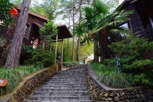 A stone staircase leading to a wooden building surrounded by lush greenery.