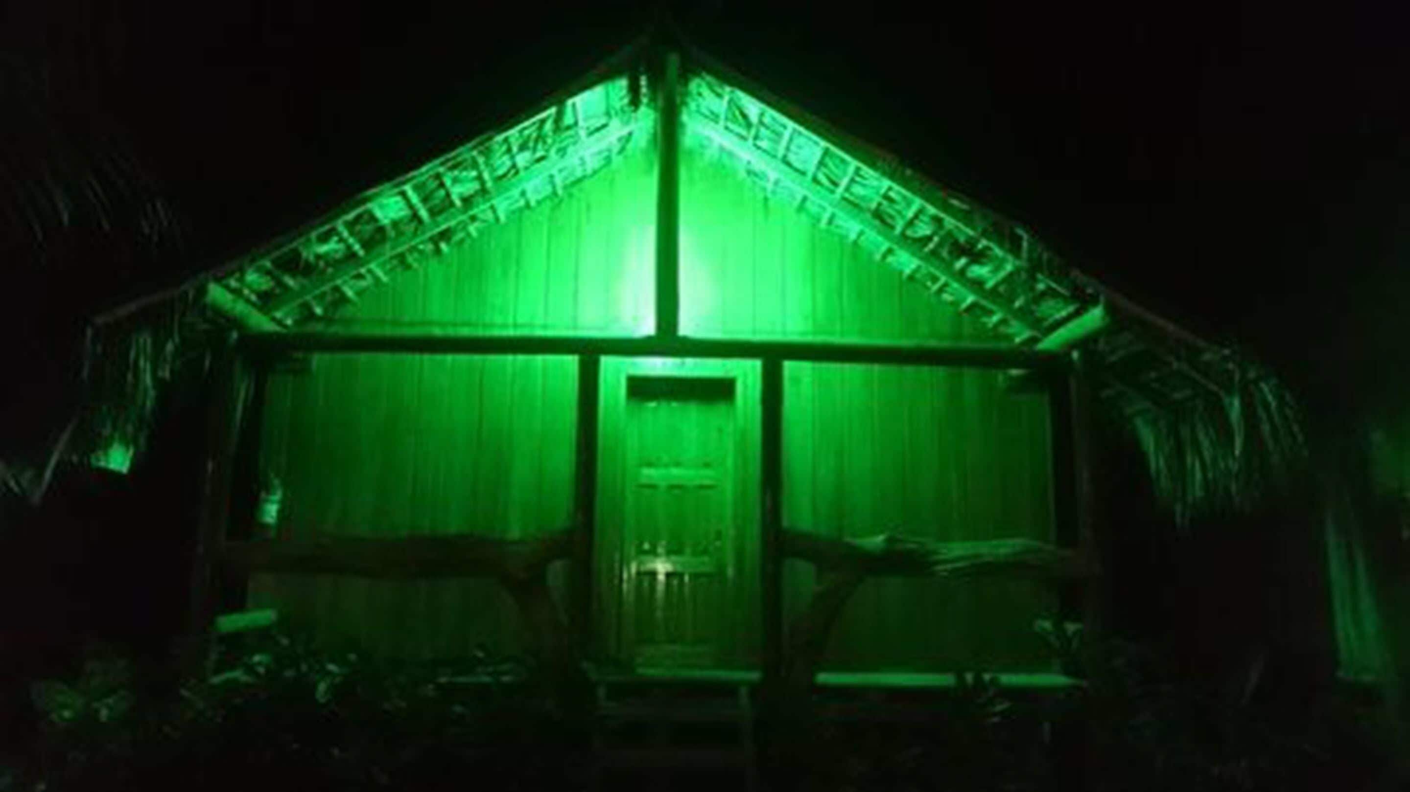 A building with a green-lit facade and a central door, surrounded by vegetation.