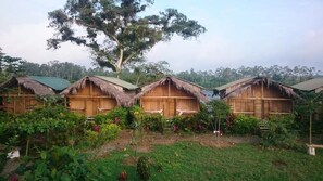 A row of wooden huts with thatched roofs, surrounded by lush greenery and a large tree. - Hosteria Piedra De Vapor (Puerto Quito)