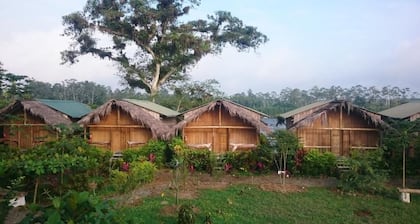 Hosteria Piedra De Vapor