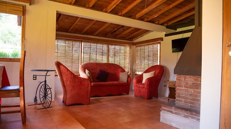 Televisión de pantalla plana, chimenea