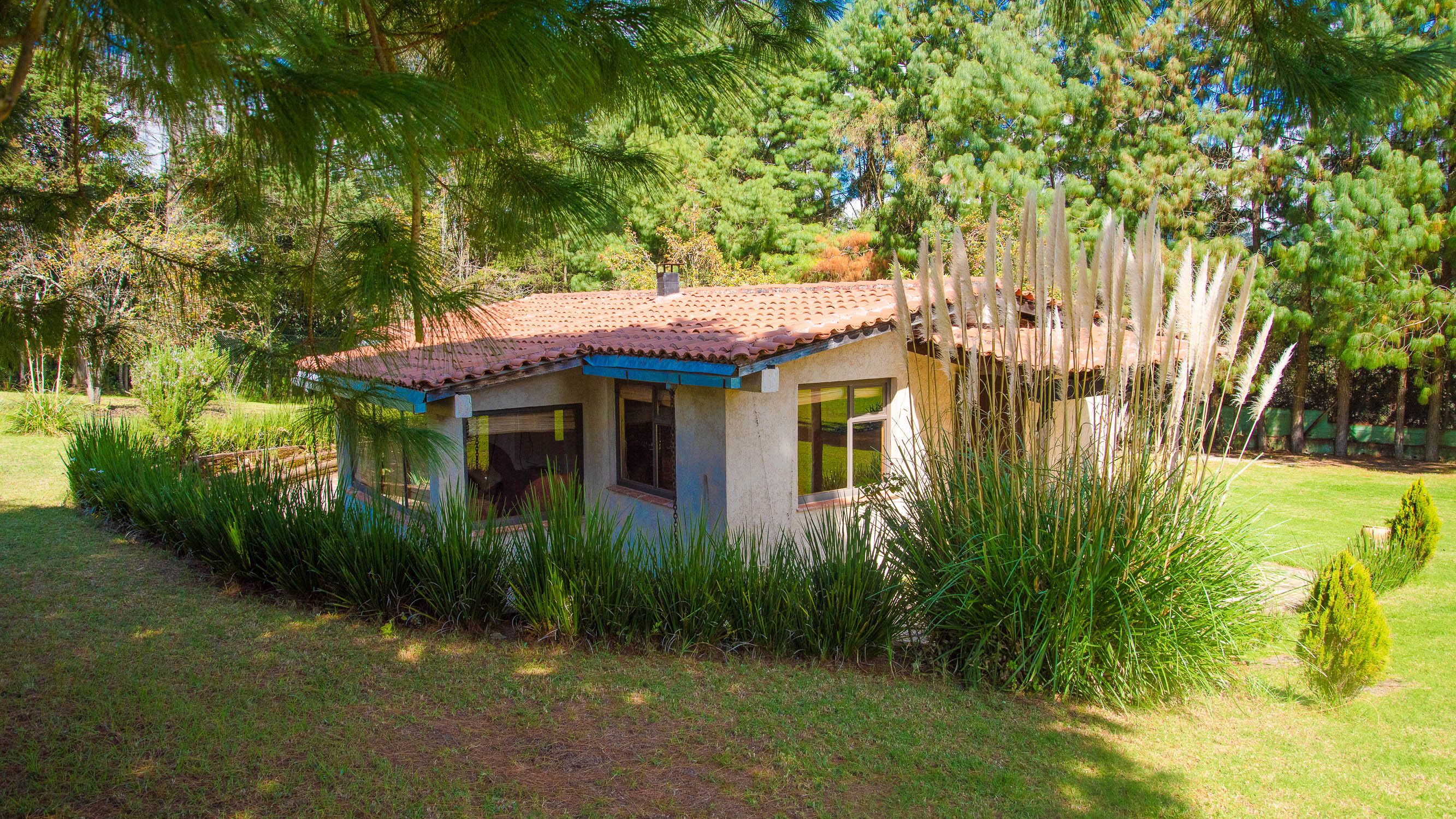 Uma pequena casa térrea com telhado de telhas, cercada por grama alta e árvores.