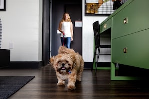 Pet-friendly