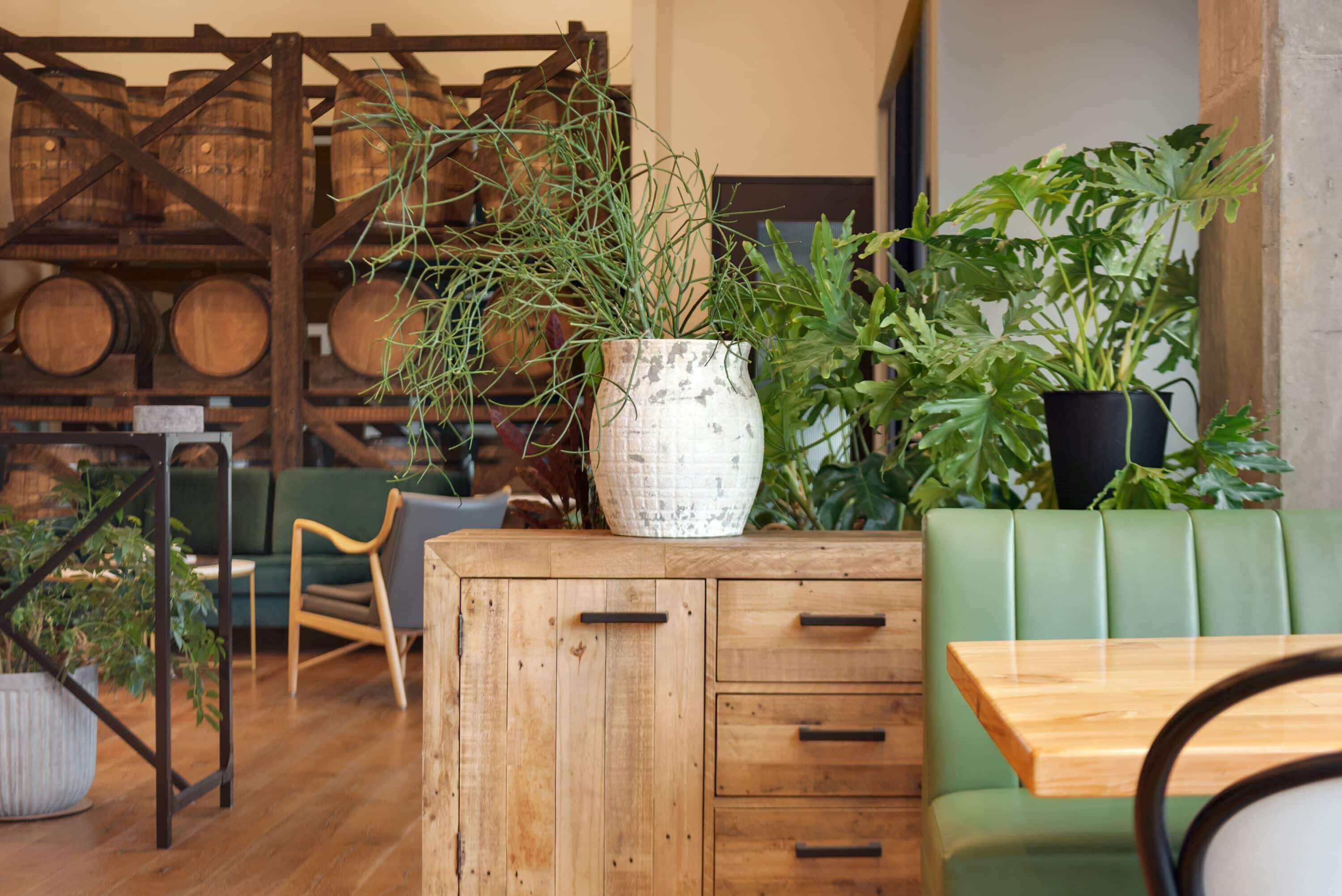 A wooden cabinet with drawers, a green cushioned bench, and potted plants.