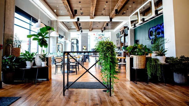 A spacious indoor area with wooden flooring, large windows, and multiple potted plants. - Origin Lexington a Wyndham Hotel (Lexington)