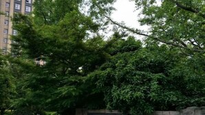 A sign with Chinese characters, surrounded by lush greenery and a stone wall. - Yuanzheng Hotels (Hangzhou)