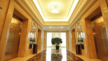 A hotel corridor with marble flooring, a central potted plant, and two elevators on either side.