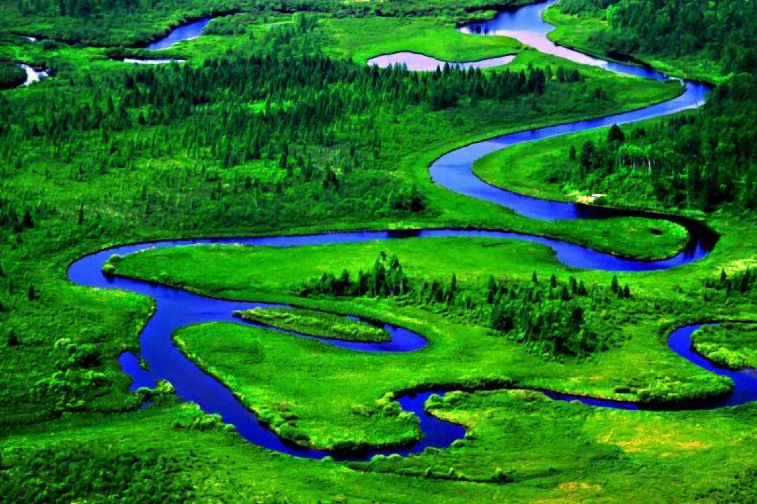 Un río serpenteando a través de un paisaje verde exuberante.
