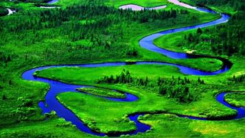 Un río serpenteando a través de un paisaje verde exuberante.