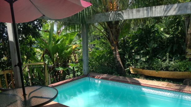 Una piscina con borde de baldosas, rodeada de exuberante vegetación y un deck de madera.