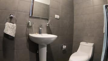 Căn hộ, không hút thuốc | Phòng tắm | Buồng tắm vòi sen, khăn tắm