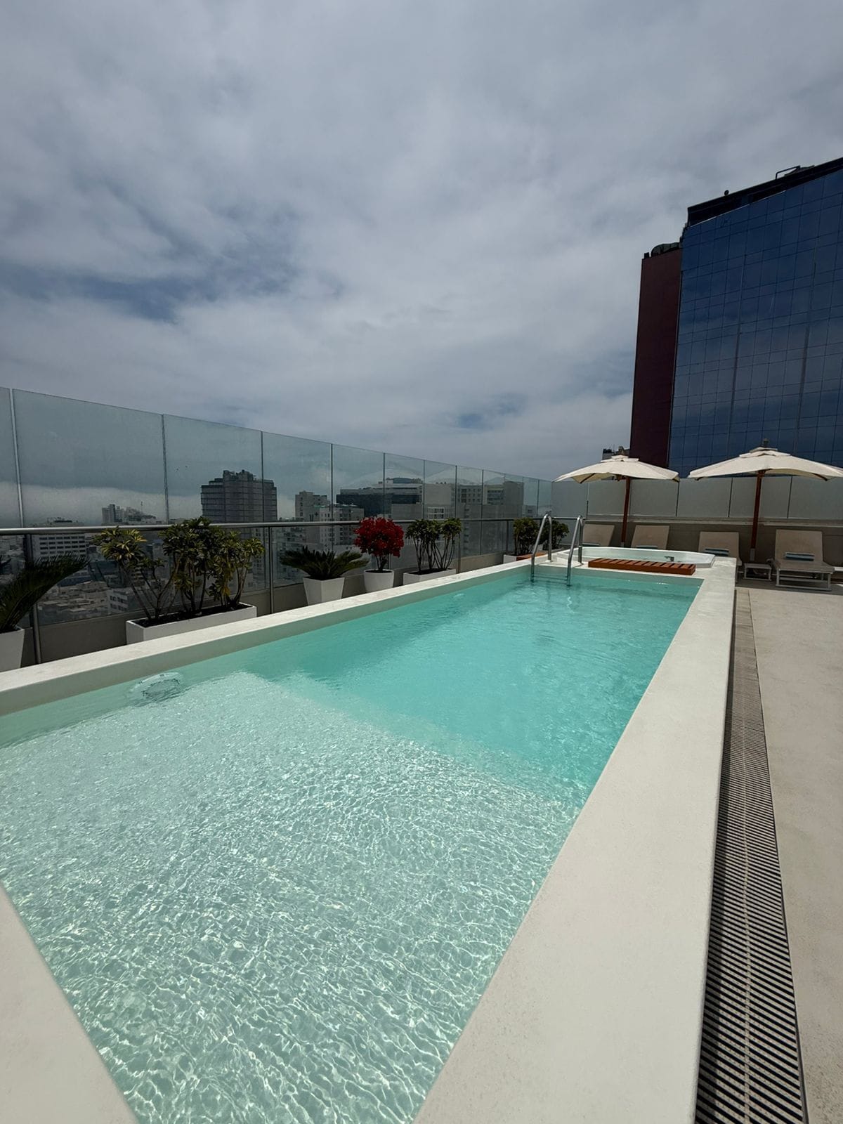 Una piscina al terrat amb aigua cristal·lina, envoltada de plantes en testos i ombrel·les.