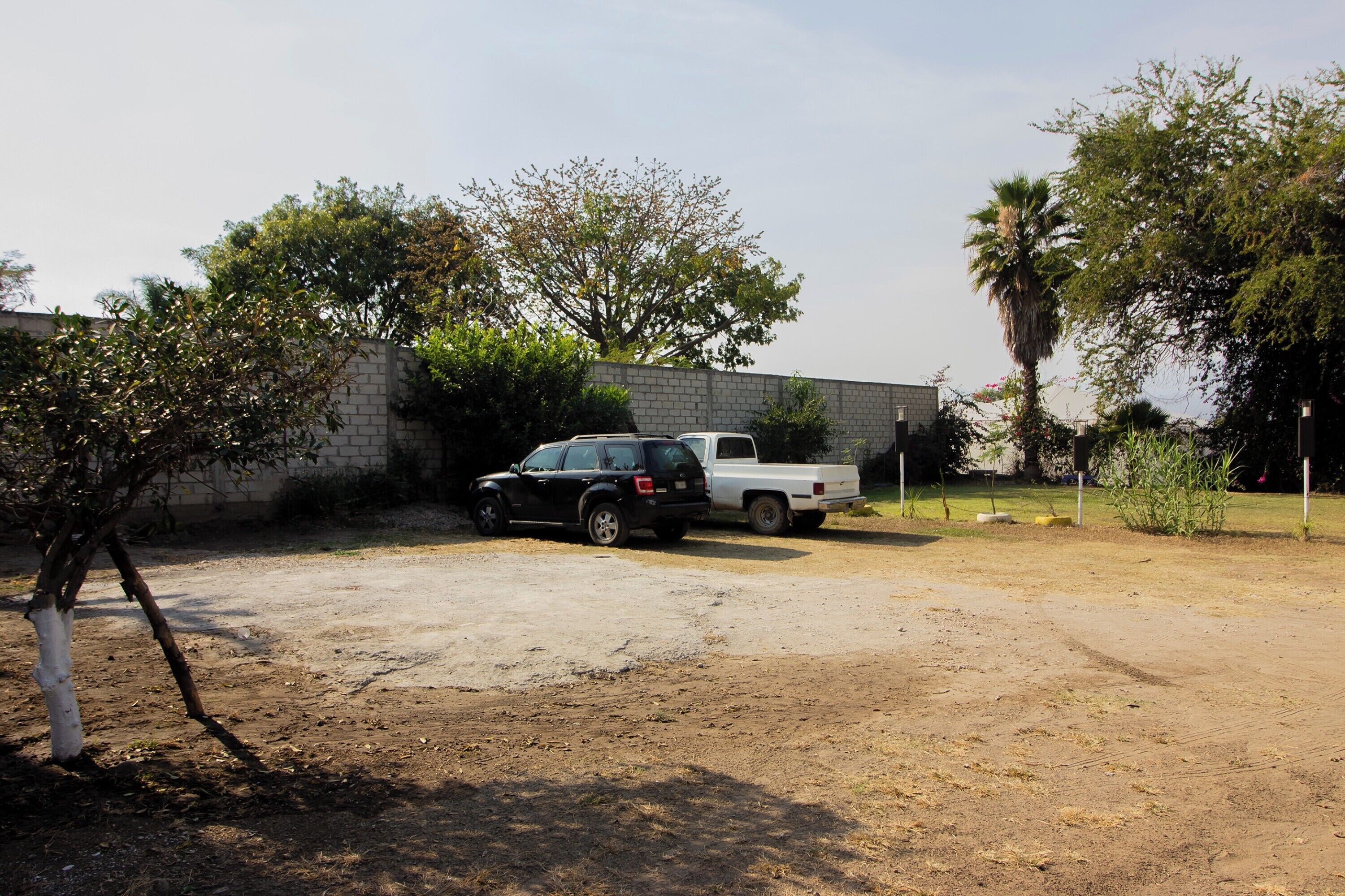 Free self-parking